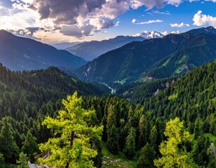 Mountain view of forested peaks and valley under cloudy sky