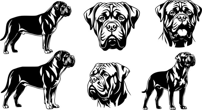 Bullmastiff dog silhouette, Bullmastiff dog, Bull mastiff silhouettes, Dog silhouettes, Bullmastiff clip art