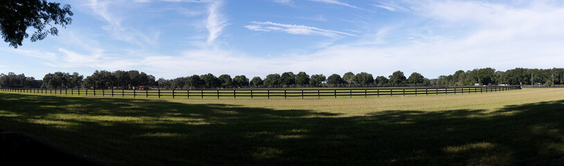 Fototapeta premium A panoramic view of a beautiful Oacala horse field