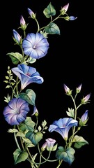 Watercolor blue and purple morning glory flowers, buds, and green leaves design isolated on transparent background