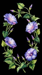 Watercolor morning glory flowers and green leaves form an elegant oval frame. isolated on transparent background