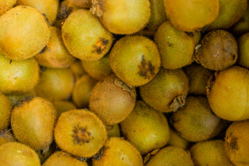 Fresh kiwi fruit for sale
