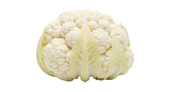 Fresh white cauliflower head, with green leaves and textured florets, isolated on transparent background. PNG