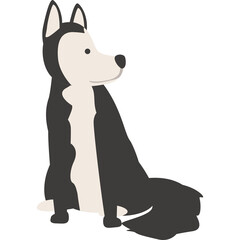 Sitting Husky Dog Looking to the Side with Black and White Fur Against a Transparent Background