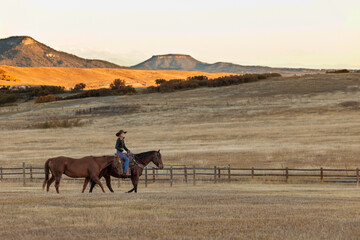Colorado cowgirl riding bay quarter horse ranch front range