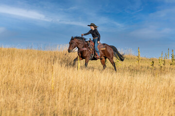 Colorado cowgirl riding bay quarter horse ranch front range running