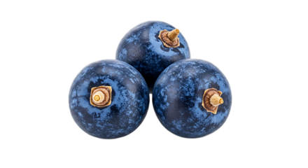 A close up of three dark blue berries clustered together on a black background in a studio shot