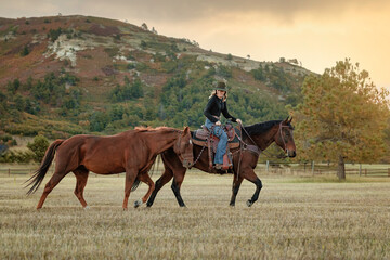 Colorado cowgirl riding bay quarter horse ranch front range leading