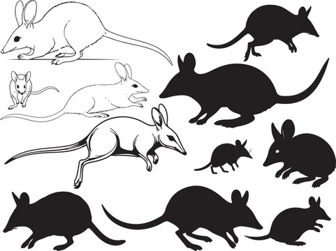 Bilby Silhouette