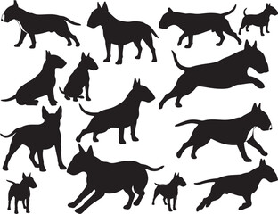 Obraz premium Bull terrier dog silhouette 