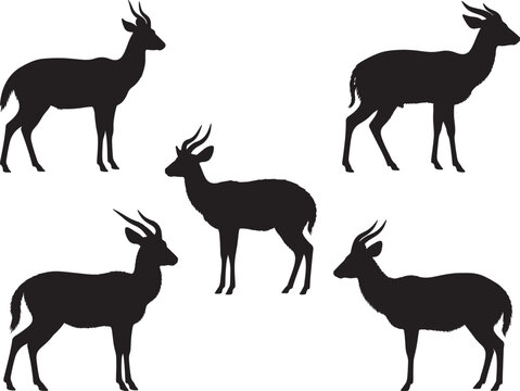 Bushbuck Deer Silhouette