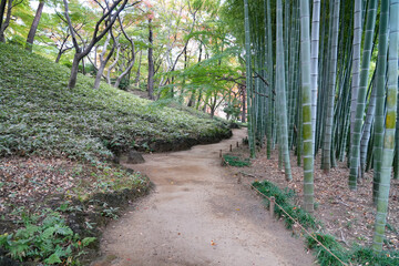 秋の殿ヶ谷戸庭園