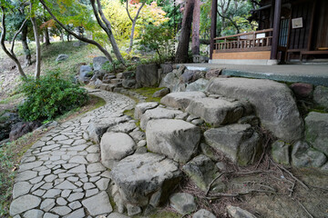 Fototapeta premium 秋の殿ヶ谷戸庭園
