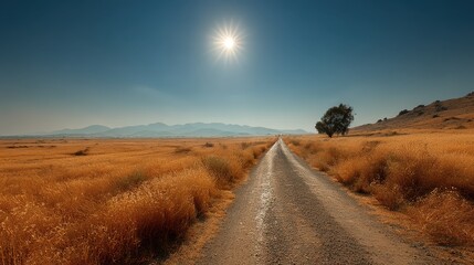 Scenic Dirt Road Through Golden Wheat Field Under a Bright Sun and Clear Blue Sky Leading to Distant Mountains