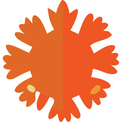 Symmetrical Abstract Geometric Orange Starburst Shape with Pointed Petal Elements and Subtle Light Yellow Accents on a Transparent Background Clean Modern Digital Art