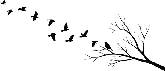 Black vector silhouette of a flock of birds flying away from a leafless tree branch, abstract nature concept illustration for freedom, departure, and seasonal change design.