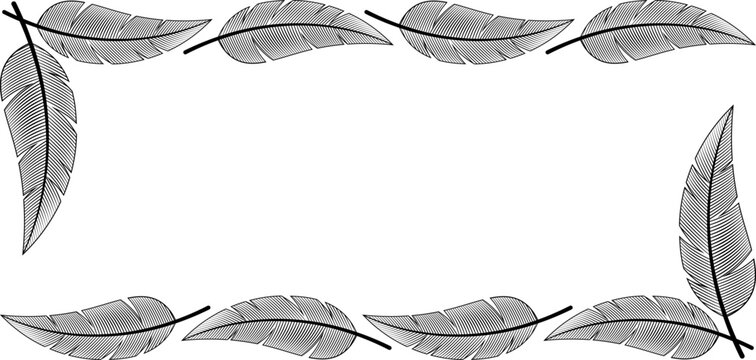 Vector line art rectangular frame made of detailed feathers. Ideal for boho themes and elegant invitations