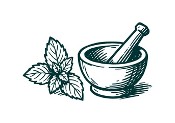 Mint hand drawn simple sketch vector illustration