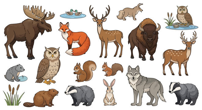 Collection of forest animals and wildlife creatures in vector cartoon style with mammals and birds