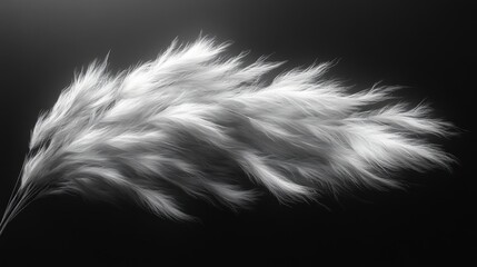 Obraz premium Elegant abstract image featuring delicate, feather-like patterns in white against a dark background. Evokes feelings of lightness, serenity, and sophistication.