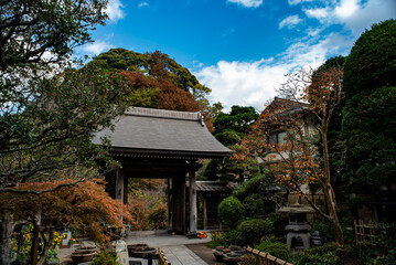 鎌倉251116　成就院9　紅葉