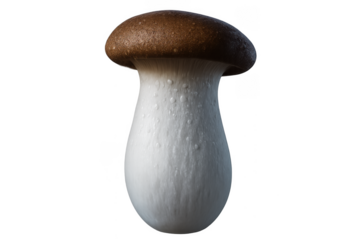 King oyster mushroom standing on transparent background