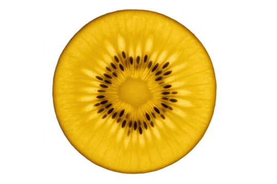 Gold kiwi fruit slice displaying fresh juicy texture