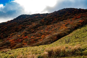 くじゅう連山の紅葉