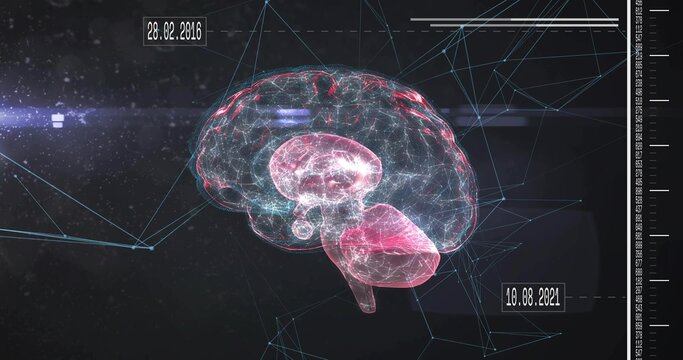 Floating 3D wireframe brain model pulsing in HUD space, showing network lines, date labels, scale