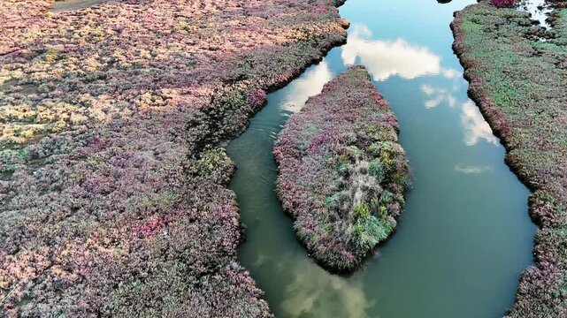 Aerial drone video capturing a scenic marshland channel with a distinct islet covered in deep reddish-purple bog vegetation. Water surface reflects a soft cloudy sky. Cinematic overhead view.