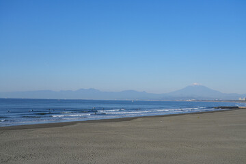 秋の殿ヶ谷戸庭園