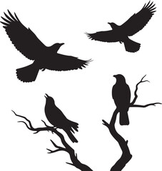 Silhouettes of Crows and Ravens Flying and Perched on Bare Branches Against a Vibrant Orange Sunset Sky, Evoking Wild Nature and Freedom.