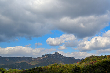 A mountain trunk that shows the feeling of autumn under a rather cloudy blue sky