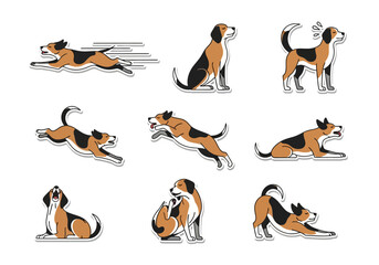 Set of Lively Beagle Illustrations in Dynamic Poses