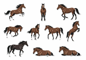 Dynamic Horse Poses Collection of Equine Illustrations
