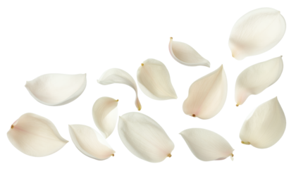 Close-up of scattered garlic cloves with soft shadows, isolated on a white background, creating a clean and versatile culinary element
