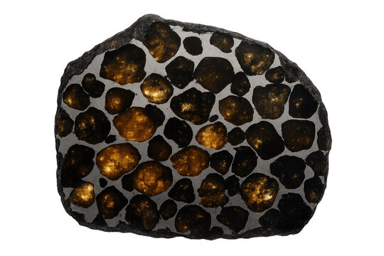 Polished pallasite meteorite slab revealing olivine crystals