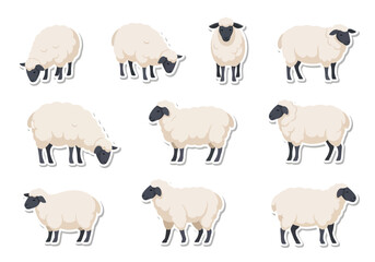 Sheep Vector Set Farm Animals Illustration Collection