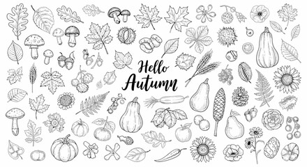 Mega Autumn Harvest & Forest Elements Vector Sketch Set - Hand-Drawn Vintage Fall Doodle Collection