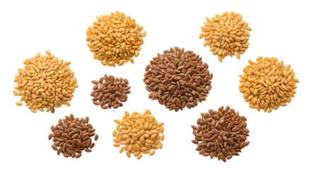 Flax Seeds Brown and Golden Varieties