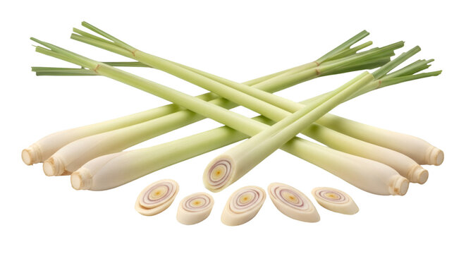 Lemongrass Stalks and Slices