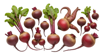 Fresh Beets with Greens on White Background