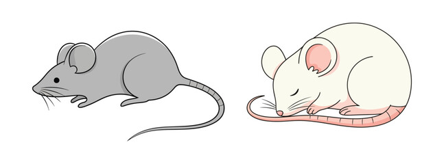 Two Mice, One Gray Standing and One White Sleeping