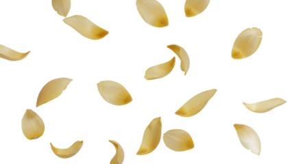 Floating yellow petals scattered across a white background, abstract and delicate composition