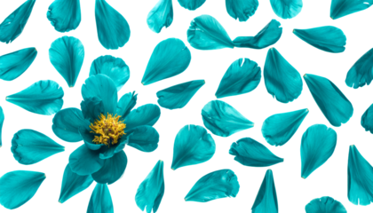 Turquoise flower petals scattered on a white background with a single turquoise flower in the center, creating a delicate and ethereal aesthetic