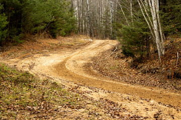 A sharp corner with tire tracks on a sandy forest trail in autumn