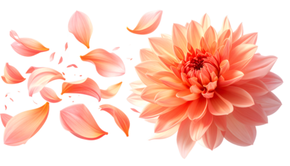 A delicate peach dahlia flower with petals scattering in the breeze, symbolizing growth and renewal