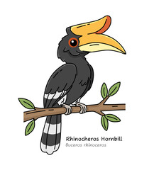 Rhinoceros Hornbill Cartoon Vector Illustration. Flat Style Hornbill Bird Sitting on a Branch. Buceros rhinoceros.