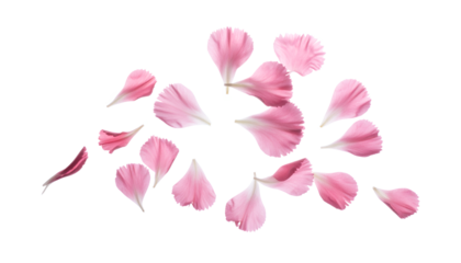 Delicate pink flower petals scattered gracefully across a clean white background, creating a soft and elegant display