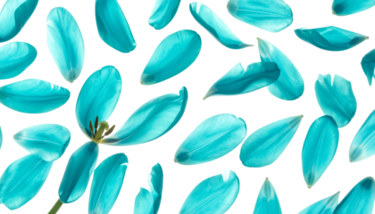 Petals Floating Gently A Soft Blue Floral Symphony